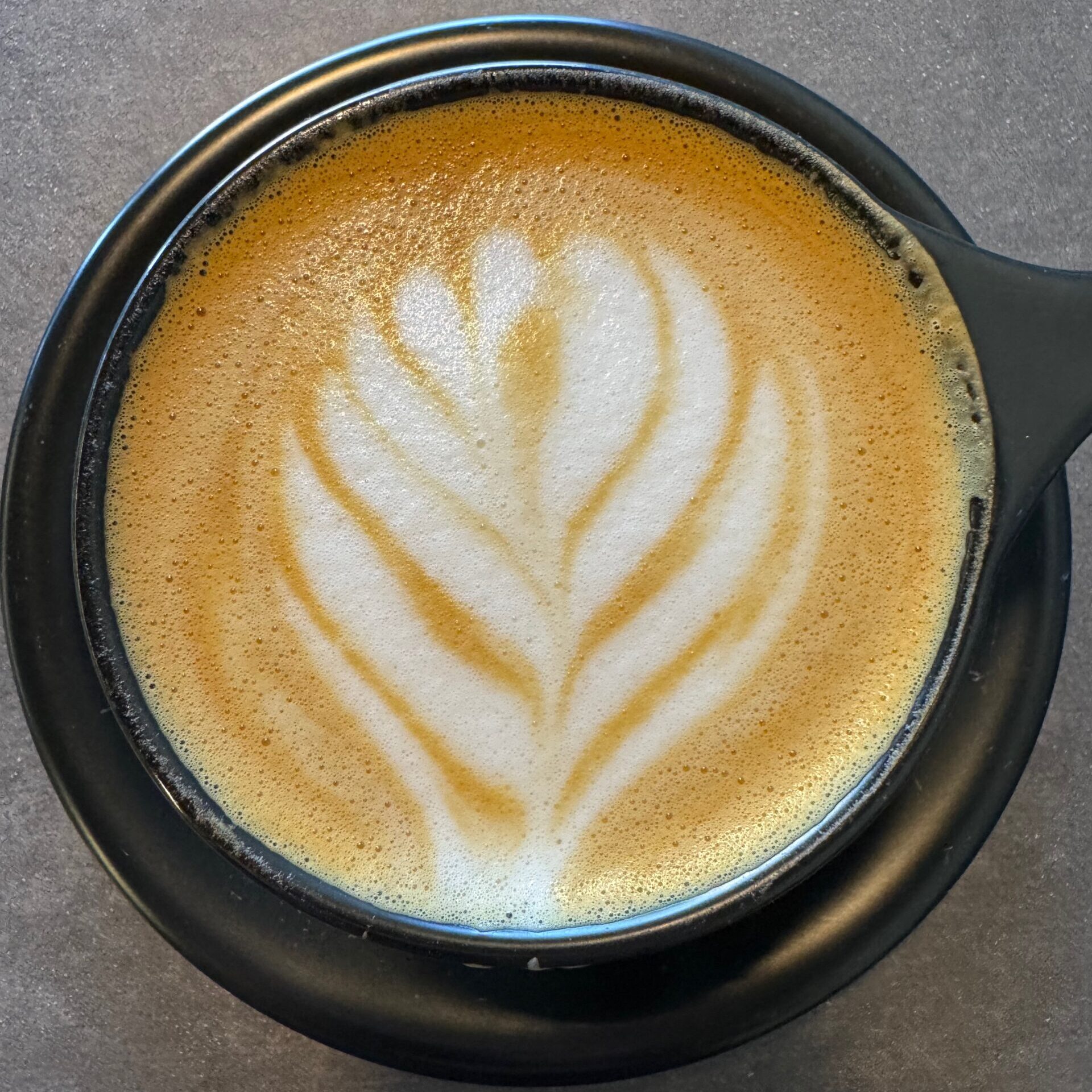 kingdom coffee expresso